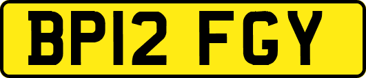 BP12FGY
