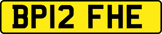 BP12FHE