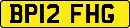 BP12FHG