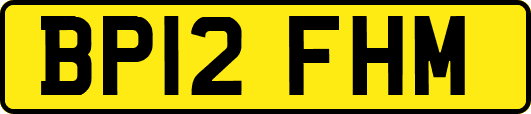 BP12FHM