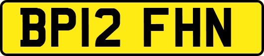 BP12FHN