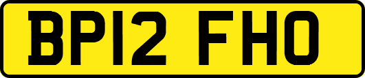 BP12FHO