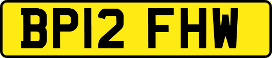 BP12FHW
