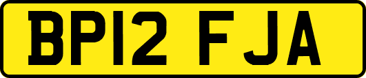BP12FJA