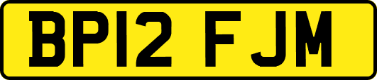 BP12FJM