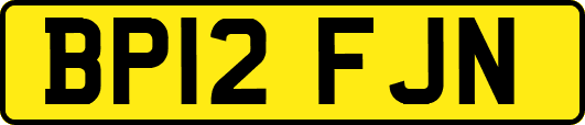 BP12FJN