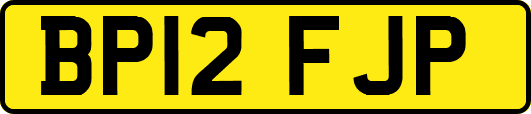BP12FJP