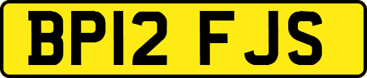 BP12FJS