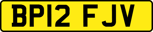 BP12FJV