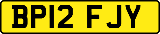 BP12FJY