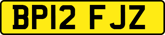 BP12FJZ