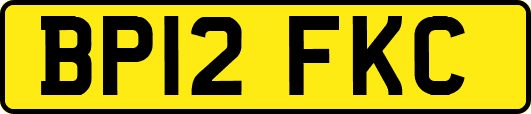 BP12FKC
