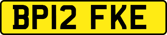 BP12FKE