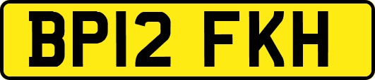 BP12FKH
