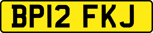 BP12FKJ