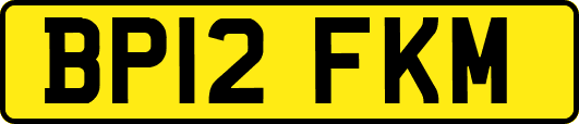 BP12FKM