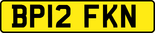 BP12FKN