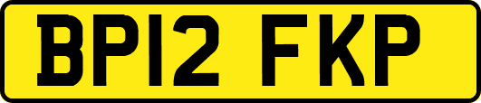 BP12FKP