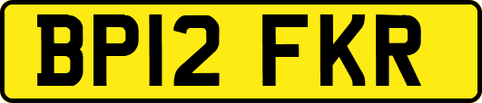 BP12FKR