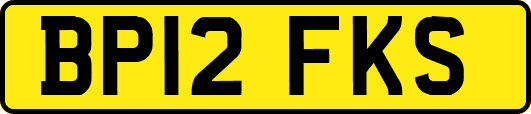 BP12FKS