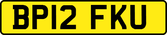 BP12FKU