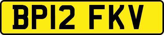 BP12FKV