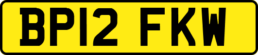 BP12FKW