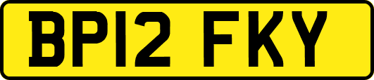 BP12FKY