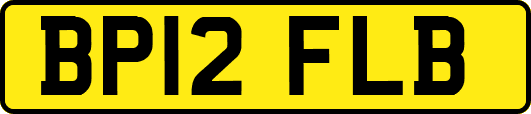 BP12FLB