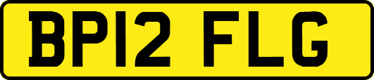 BP12FLG