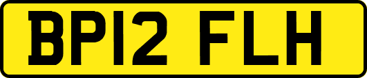 BP12FLH