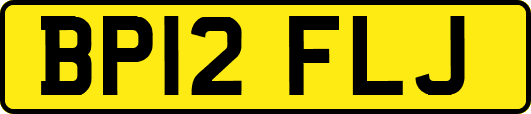 BP12FLJ