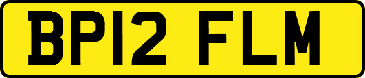 BP12FLM