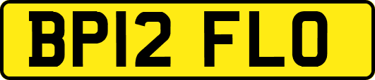 BP12FLO