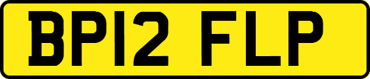 BP12FLP