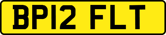 BP12FLT