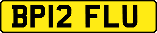 BP12FLU