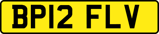 BP12FLV