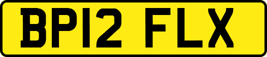 BP12FLX