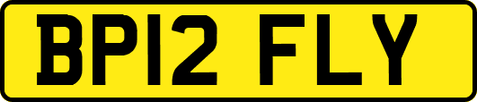BP12FLY