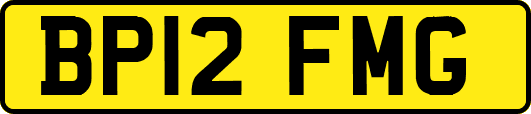 BP12FMG