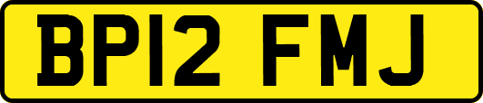BP12FMJ