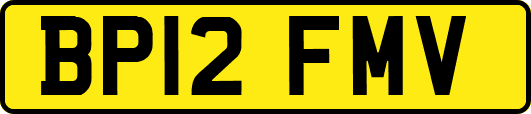 BP12FMV