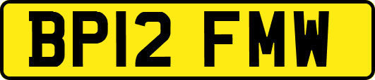 BP12FMW
