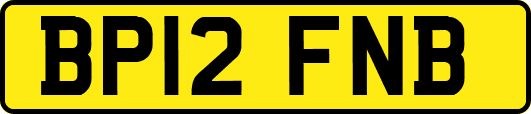 BP12FNB