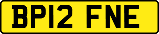 BP12FNE