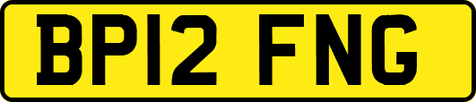 BP12FNG