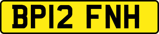 BP12FNH