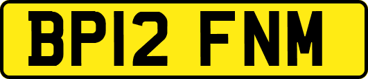 BP12FNM