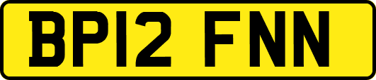 BP12FNN